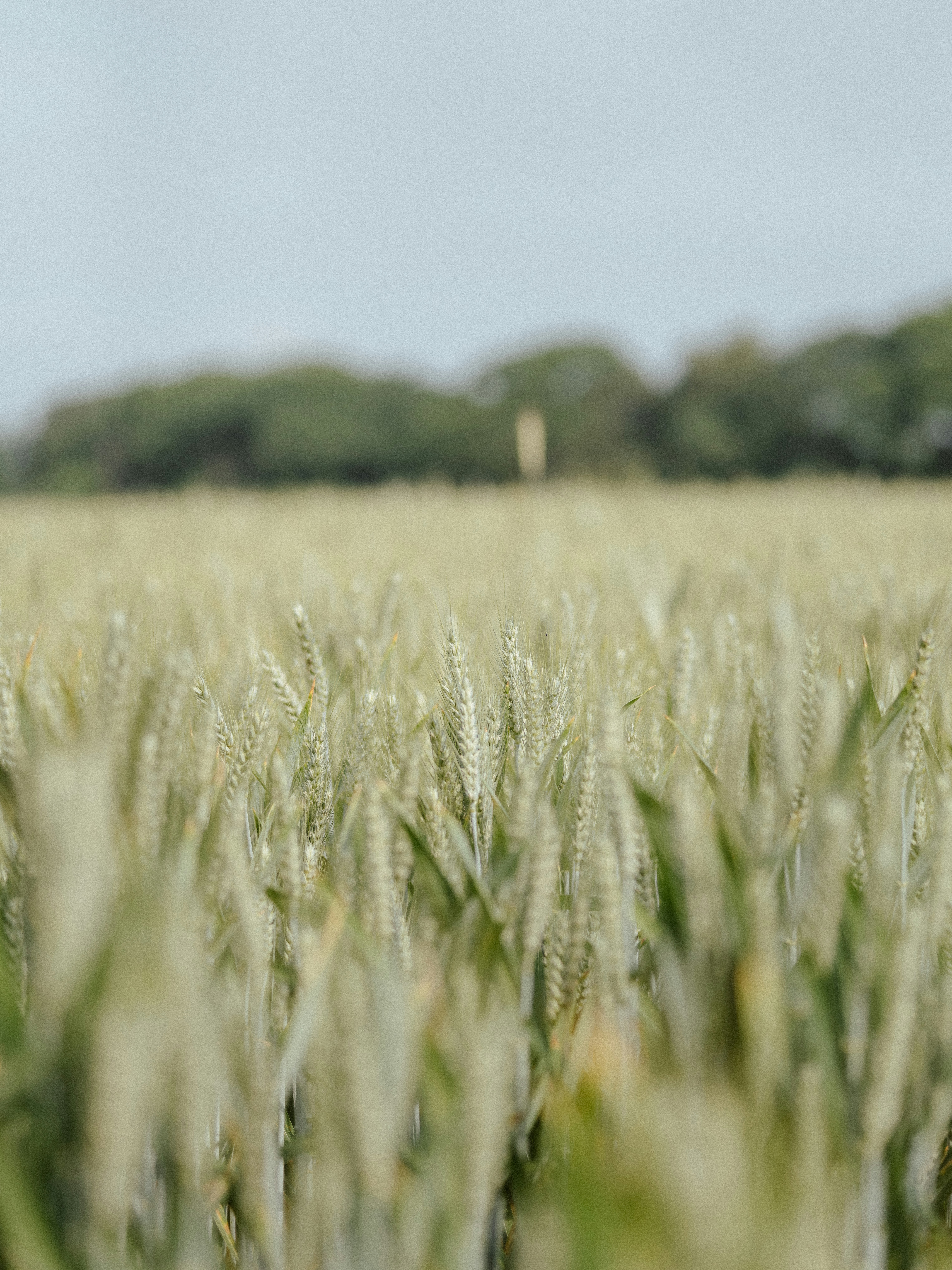 Centro de formación